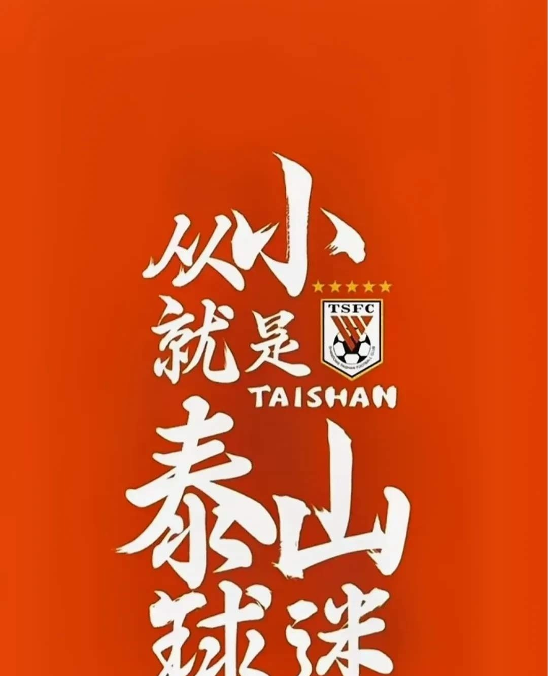 实力坚强的球队一举击败对手，名扬四方