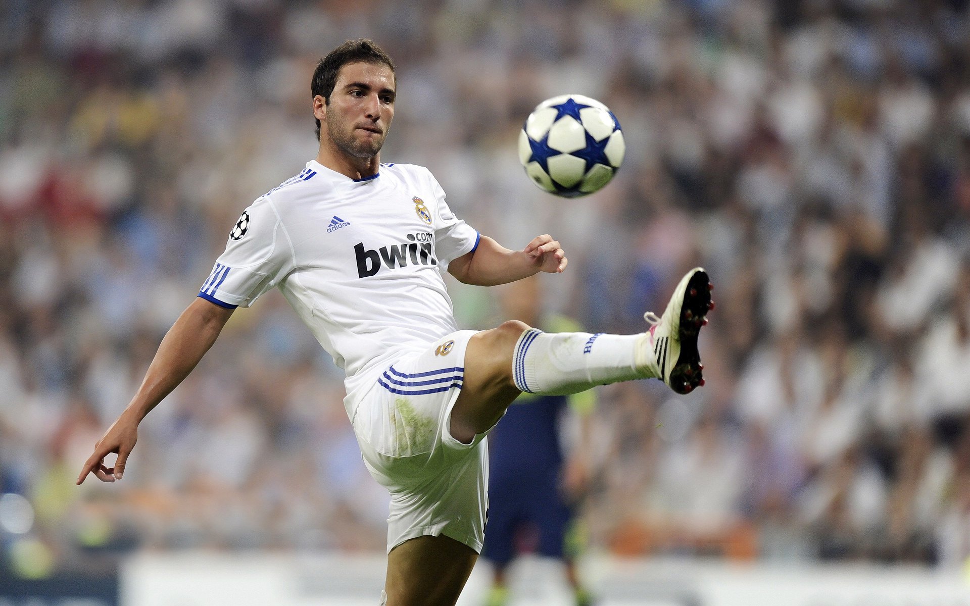 绿茵场上的争冠烽火,篮球馆内的征服之战,德甲焦点与湖人掘金之战的双重奏