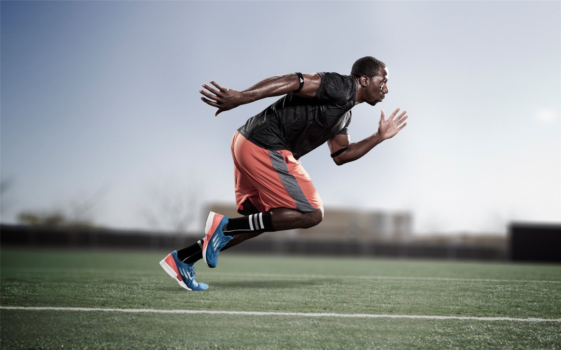 波尔惊艳四座,法国队力克波兰队,新星闪耀改写欧洲足球版图